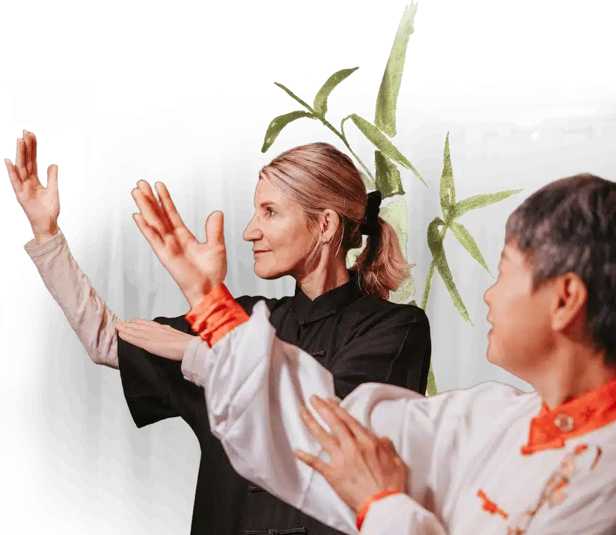 1 1 Coaching Tai Chi and Qi Gong